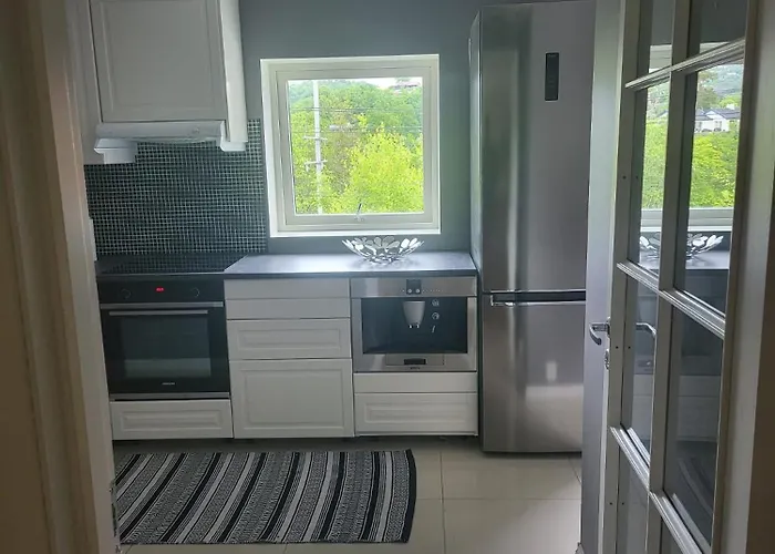 公寓 Nesttunveien Appartments